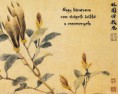 /album/termeszet-haikuk/a-cseresznyefa-jpg/
